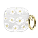 Desert Daisy