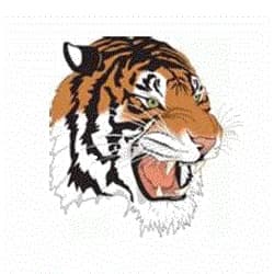 Mansfield Senior High School