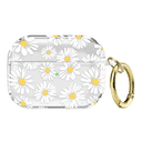 Desert Daisy