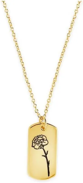 Sterling Forever - Birth Flower Necklace - 14K Gold Plated or Rhodium Plated Brass - Statement Pendant - Adjustable Chain, Lobster Clasp - 16” Chain, 2” Extender - Nickel Free 01-January / Carnation - Gold