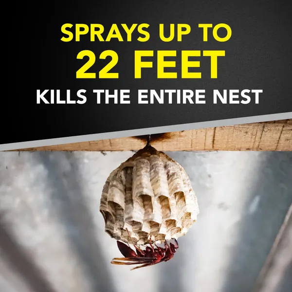 Raid Wasp & Hornet Killer Spray, Bug Killer Kills the Entire Nest, 14 Oz, 2 Count - Image 6