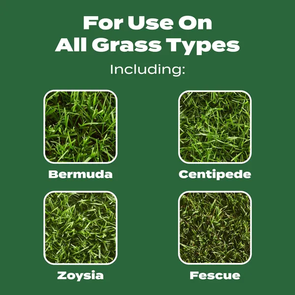 Scotts Turf Builder Lawn Food - Fertilizer for All Grass Types, 5,000 sq. ft., 12.5 lbs. - Image 6