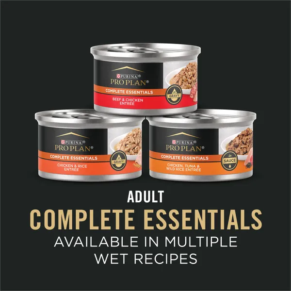 Purina Pro Plan High Protein Cat Food With Probiotics for Cats, Chicken and Rice Formula - 7 lb. Bag - Image 10
