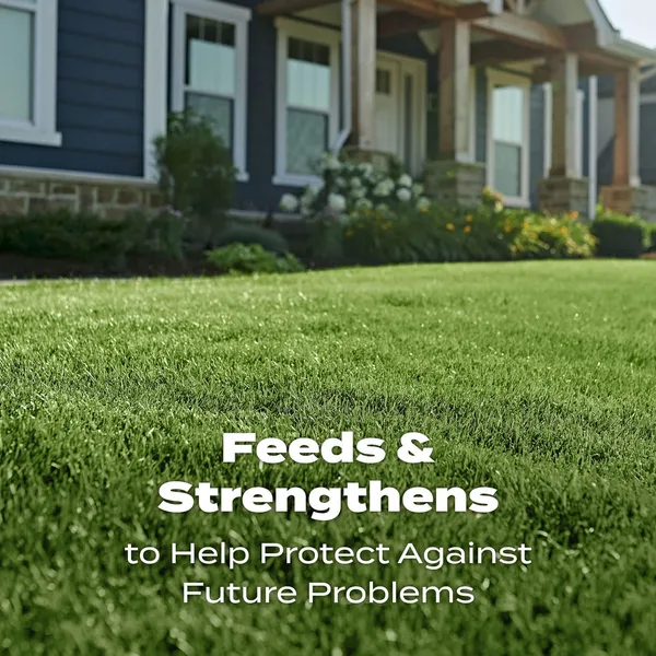 Scotts Turf Builder Lawn Food - Fertilizer for All Grass Types, 5,000 sq. ft., 12.5 lbs. - Image 8