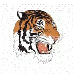 Mansfield Sr. High School