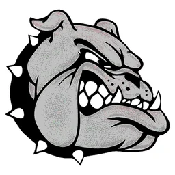 Batavia High School