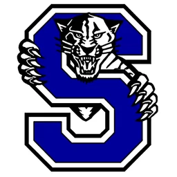 Stryker High School